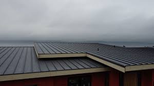 Best Rubber Roofing (EPDM, TPO)  in Cayuga, IN